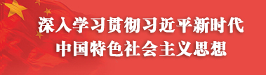 深入學(xué)習(xí)貫徹習(xí)近平新時(shí)代中國特色社會(huì)主義思想